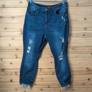Judy Blue Jeans Womens 20 W Blue Skinny Fit Medium Wash Distressed